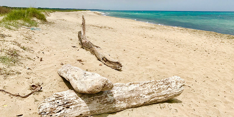 beach and sea