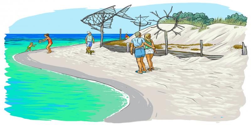 Fostering dune restoration and public awareness 