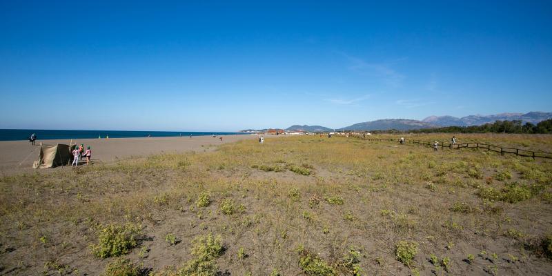 Montenegrin dunes