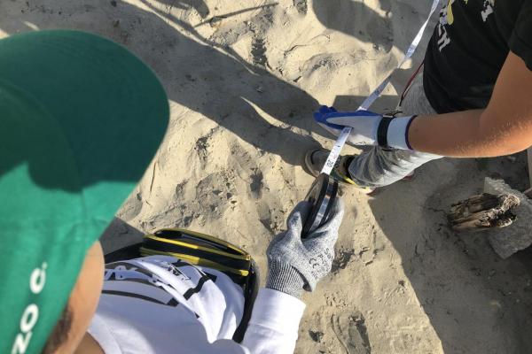 Measuring the beach2