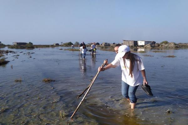 Adriatik beach-Albania, Fifth beach cleaning operation 