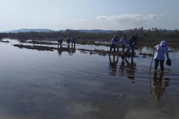 Adriatik beach-Albania, Fifth beach cleaning operation 