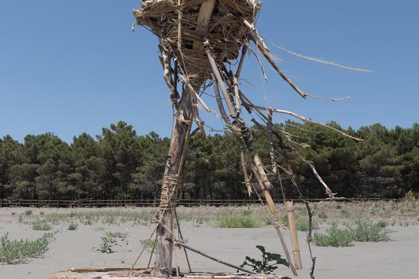 Artistic installation_Jellyfish